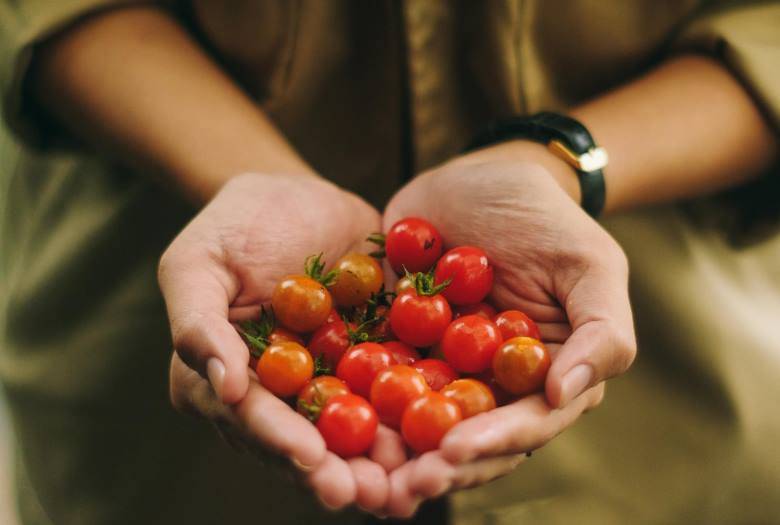 Offerta Hotel 4 stelle Rimini per Fiera Macfrut