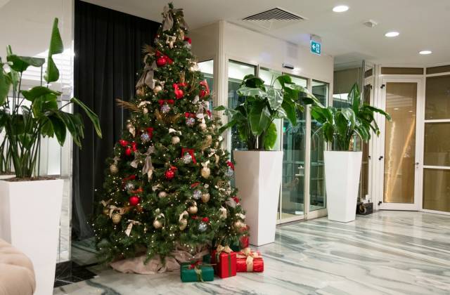 natale a rimini in hotel 4 stelle